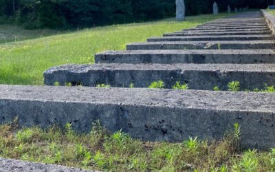 Navigating the role of bystander: What can we do?